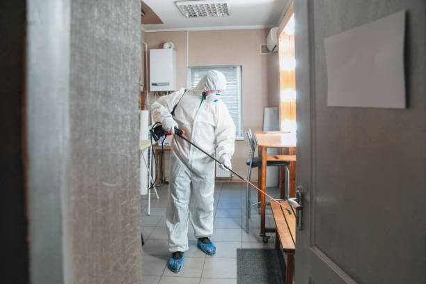 Best Basement Mold Removal  in Weigelstown, PA